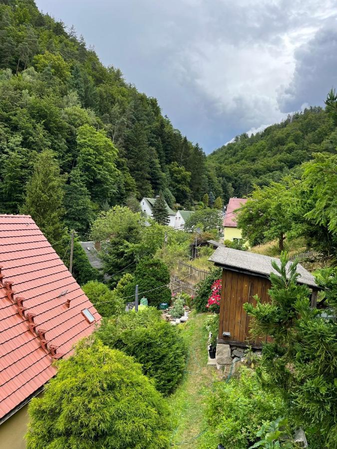 Pension Alpenrose Bad Schandau Exterior photo